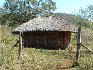 Thatch roof hut