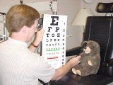 Teddy's Eye Exam
